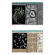 Image Companion™ License Image